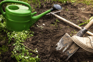 Gardener digs the ground for seedlings. garden tools