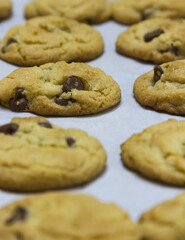 Cookies on sheet