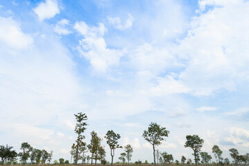 Obraz premium clouds white soft in the vast blue sky