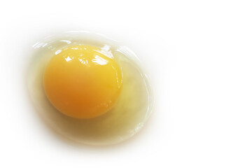  raw egg on white.