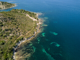Fototapeta na wymiar Aerial view of coast with sea and shrubs