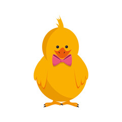 Little chicken cartoon icon vector illustration graphic design