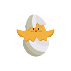 Little chicken cartoon icon vector illustration graphic design