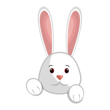 Cute easter bunny cartoon icon vector illustration graphic design