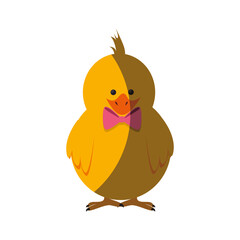 Little chicken cartoon icon vector illustration graphic design
