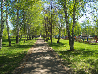 Alley in park