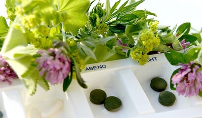 Frauenmantel, Rotklee, Phytohormone