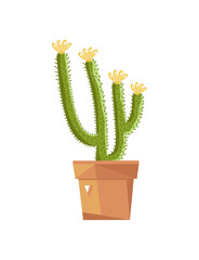 Beautiful potted cactus isolated icon. Plants indoor room, houseplant, floral interior decoration design element vector illustration.
