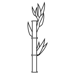 Obraz premium Bamboo japanese plant icon vector illustration graphic design