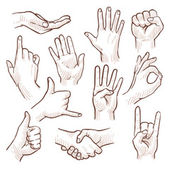 Line drawing doodle hands showing common signs vector collection