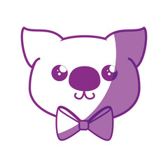 Koala kawaii cartoon icon vector illustration graphic design