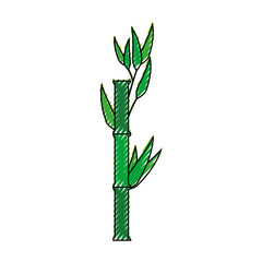 Bamboo japanese plant icon vector illustration graphic design