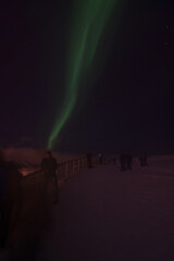 Fototapeta premium Polarlichter über Tromsö, Norwegen