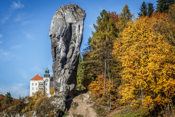 Rock called Maczuga Herkulesa in Pieskowa Skala.Poland  - obrazy, fototapety, plakaty