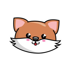 Obraz premium kawaii fox icon over white background. vector illustration