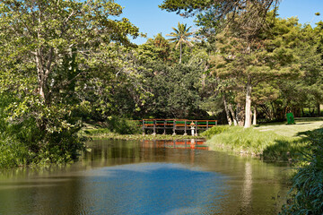 Bridge over Lily pond at the Durban North Japanese Gardens, KwaZulu-Natal, South Africa