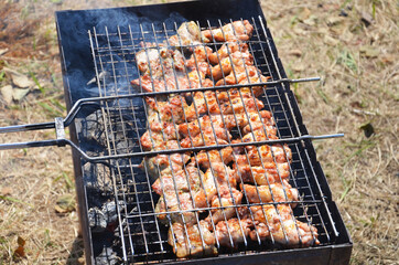 Skewers Of Meat Summer Holiday Nature