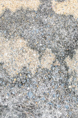 close up Old limestone Texture Background