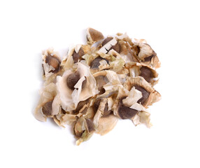 Moringa Oleifera seed isolated on white