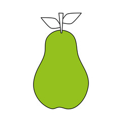 fruits shadow illustration vector icon design graphic flat