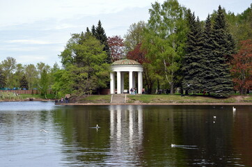Fototapeta na wymiar Gazebo Rotunda on the shore of Swan Pond. Krestovsky Island, St. Petersburg, Russia