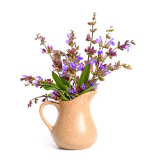 Salvia officinalis flower.