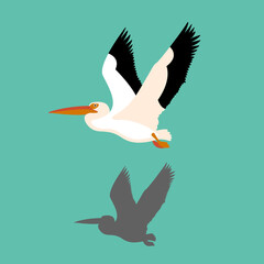Pelican bird vector illustration style Flat silhouette