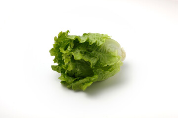 レタス  パリパリレタス