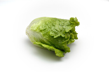 レタス  パリパリレタス