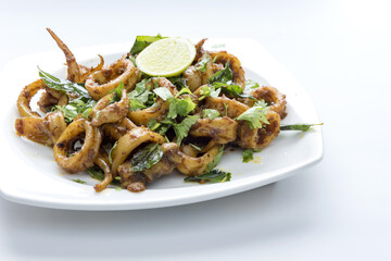 Indian Spicy Squid Fry