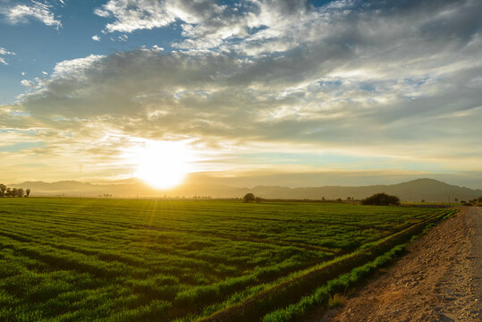 valle valley agricultura