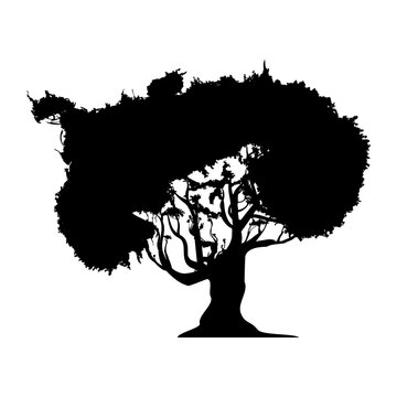 Beautiful tree silhouette icon vector illustration graphic design