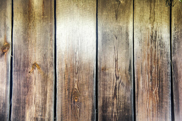 old aged tree wood texture