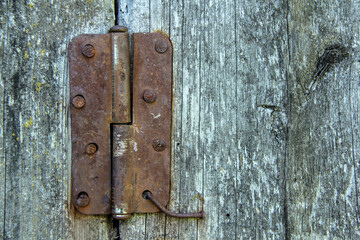 old tree wood hinge