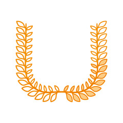 Wreath leaves ornament icon vector illustration graphic design