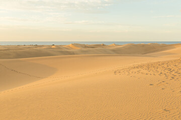 Obraz na płótnie Canvas desert