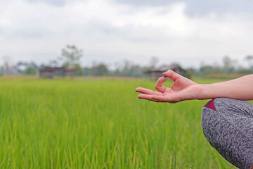 hands of woman meditating in a yoga pose at green field