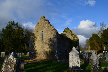 Standing Ruins of Franciscan Friary in Adare
