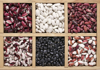 Various beans in box