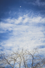 beautiful blue sky with cloudy