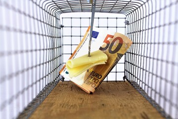 An image of a mousetrap with cheese and money
