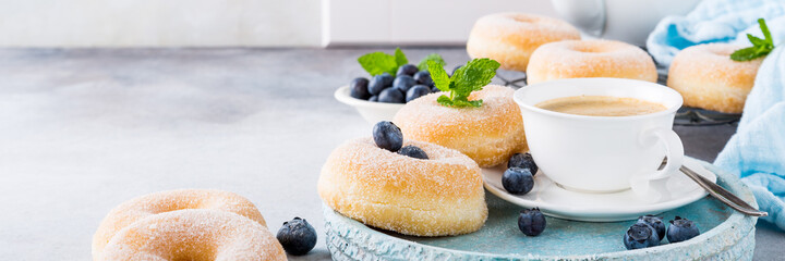 Doughnuts with powdered sugar and fresh blueberries on light gray background. Selective focus. Copy space.
