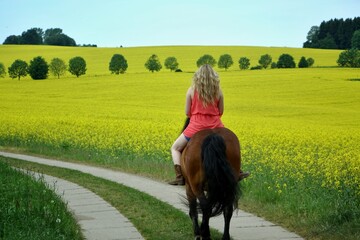 mit dem pferd im rapsfeld
