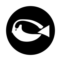 sea fish ocean life vector illustration graphic design