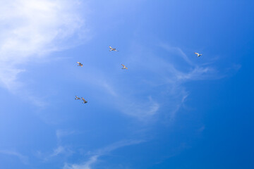 beauty blue sky with cloudy