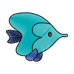 sea fish ocean life vector illustration graphic design