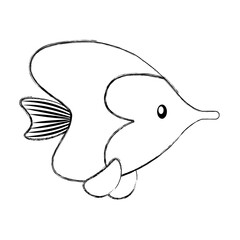 sea fish ocean life vector illustration graphic design