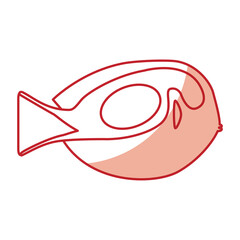 sea fish ocean life vector illustration graphic design