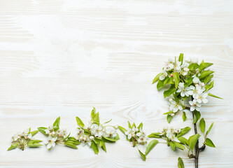 Spring flowers of apple pears on a wooden background