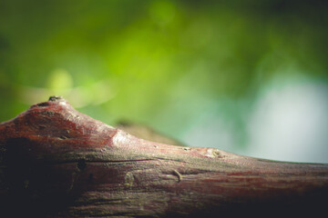 wooden with sunlight on blurry background